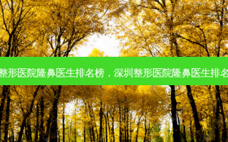 深圳整形医院隆鼻医生排名榜，深圳整形医院隆鼻医生排名第一