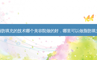 脂肪填充的技术哪个美容院做的好，哪里可以做脂肪填充