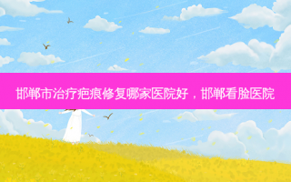 邯郸市治疗疤痕修复哪家医院好，邯郸看脸医院