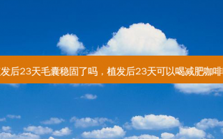 植发后23天毛囊稳固了吗，植发后23天可以喝减肥咖啡吗