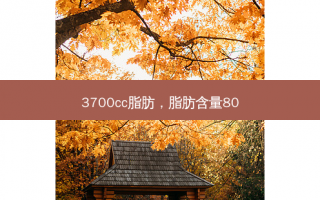 3700cc脂肪，脂肪含量80