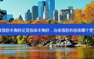 自体脂肪丰胸好还是假体丰胸好，自体脂肪和假体哪个更安全