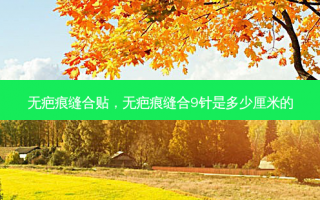 无疤痕缝合贴，无疤痕缝合9针是多少厘米的