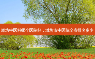 潍坊中医科哪个医院好，潍坊市中医院全省排名多少