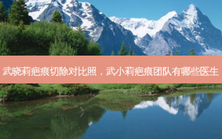 武晓莉疤痕切除对比照，武小莉疤痕团队有哪些医生