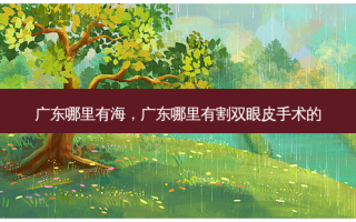 广东哪里有海，广东哪里有割双眼皮手术的