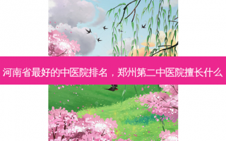 河南省最好的中医院排名，郑州第二中医院擅长什么