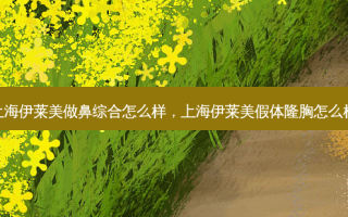 上海伊莱美做鼻综合怎么样，上海伊莱美假体隆胸怎么样