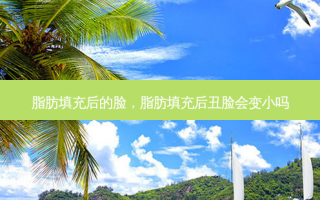 脂肪填充后的脸，脂肪填充后丑脸会变小吗