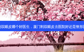 厦门割双眼皮哪个好医生，厦门割双眼皮去医院好还是整形医院好