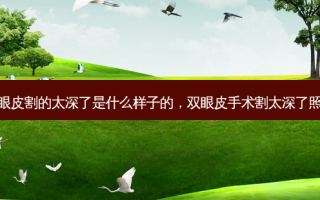 双眼皮割的太深了是什么样子的，双眼皮手术割太深了照片