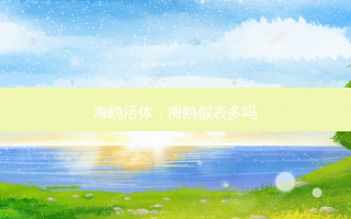 海鸥活体，海鸥假表多吗