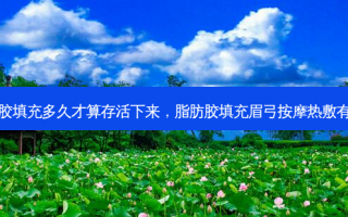 脂肪胶填充多久才算存活下来，脂肪胶填充眉弓按摩热敷有用吗