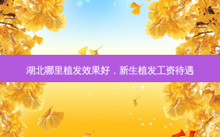 湖北哪里植发效果好，新生植发工资待遇