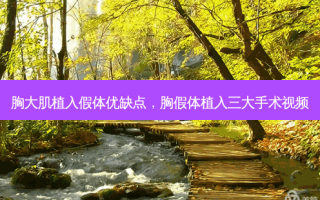 胸大肌植入假体优缺点，胸假体植入三大手术视频