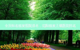 全国知名植发医院排名，沈阳植发正规医院排名
