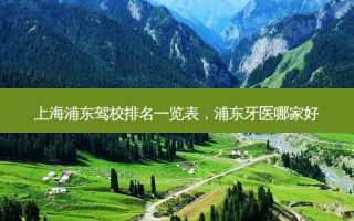 上海浦东驾校排名一览表，浦东牙医哪家好