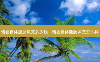 诺德自体脂肪填充多少钱，诺德自体脂肪填充怎么样