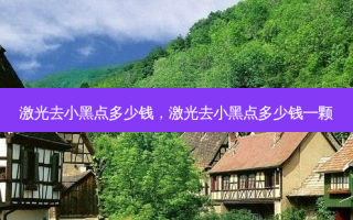 激光去小黑点多少钱，激光去小黑点多少钱一颗