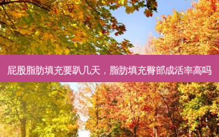 屁股脂肪填充要趴几天，脂肪填充臀部成活率高吗
