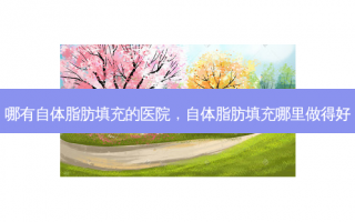 哪有自体脂肪填充的医院，自体脂肪填充哪里做得好