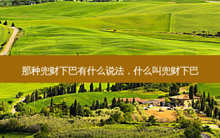那种兜财下巴有什么说法，什么叫兜财下巴