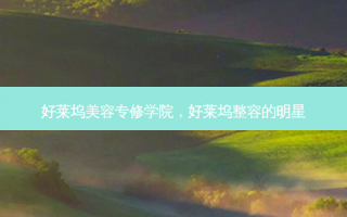 好莱坞美容专修学院，好莱坞整容的明星