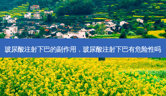 玻尿酸注射下巴的副作用,玻尿酸注射下巴有危险性吗-第1张图片-琢颜网 - 美丽容颜从这里开始 玻尿酸注射下巴的副作用,玻尿酸注射下巴有危险性吗-第1张图片-琢颜网 - 美丽容颜从这里开始