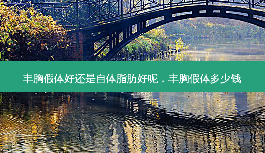 丰胸假体好还是自体脂肪好呢，丰胸假体多少钱-第1张图片-琢颜网 - 美丽容颜从这里开始