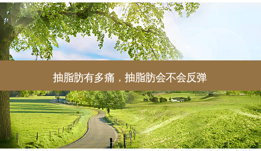 抽脂肪有多痛，抽脂肪会不会反弹-第1张图片-琢颜网 - 美丽容颜从这里开始