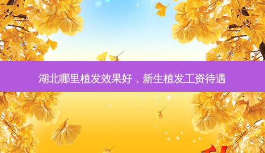 湖北哪里植发效果好,新生植发工资待遇-第1张图片-琢颜网 - 美丽容颜从这里开始 湖北哪里植发效果好,新生植发工资待遇-第1张图片-琢颜网 - 美丽容颜从这里开始