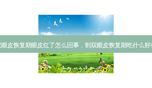 割双眼皮恢复期眼皮红了怎么回事,割双眼皮恢复期吃什么好得快-第1张图片-琢颜网 - 美丽容颜从这里开始 割双眼皮恢复期眼皮红了怎么回事,割双眼皮恢复期吃什么好得快-第1张图片-琢颜网 - 美丽容颜从这里开始