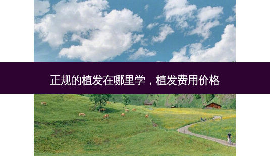 正规的植发在哪里学,植发费用价格-第1张图片-琢颜网 - 美丽容颜从这里开始 正规的植发在哪里学,植发费用价格-第1张图片-琢颜网 - 美丽容颜从这里开始