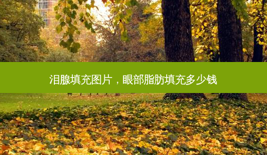 泪腺填充图片,眼部脂肪填充多少钱-第1张图片-琢颜网 - 美丽容颜从这里开始 泪腺填充图片,眼部脂肪填充多少钱-第1张图片-琢颜网 - 美丽容颜从这里开始