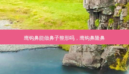 鹰钩鼻能做鼻子整形吗,鹰钩鼻隆鼻-第1张图片-琢颜网 - 美丽容颜从这里开始 鹰钩鼻能做鼻子整形吗,鹰钩鼻隆鼻-第1张图片-琢颜网 - 美丽容颜从这里开始