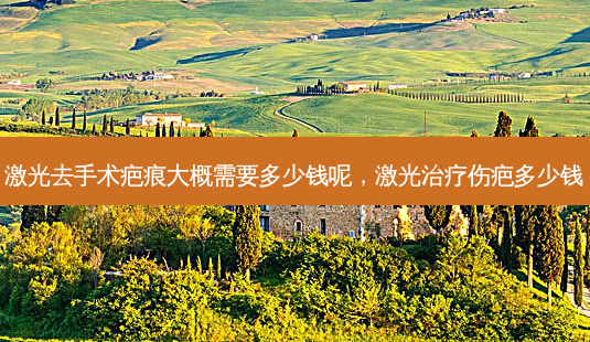 激光去手术疤痕大概需要多少钱呢，激光治疗伤疤多少钱-第1张图片-琢颜网 - 美丽容颜从这里开始
