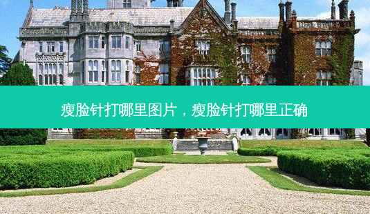 瘦脸针打哪里图片,瘦脸针打哪里正确-第1张图片-琢颜网 - 美丽容颜从这里开始 瘦脸针打哪里图片,瘦脸针打哪里正确-第1张图片-琢颜网 - 美丽容颜从这里开始