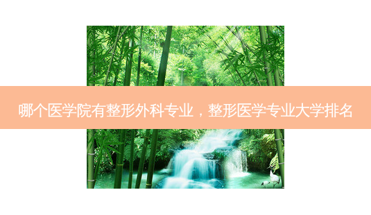 哪个医学院有整形外科专业,整形医学专业大学排名-第1张图片-琢颜网 - 美丽容颜从这里开始 哪个医学院有整形外科专业,整形医学专业大学排名-第1张图片-琢颜网 - 美丽容颜从这里开始