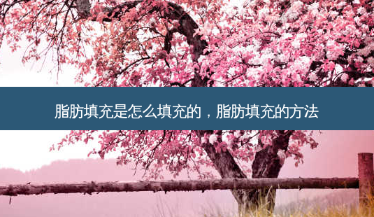 脂肪填充是怎么填充的,脂肪填充的方法-第1张图片-琢颜网 - 美丽容颜从这里开始 脂肪填充是怎么填充的,脂肪填充的方法-第1张图片-琢颜网 - 美丽容颜从这里开始
