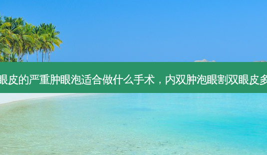 内双眼皮的严重肿眼泡适合做什么手术,内双肿泡眼割双眼皮多少钱-第1张图片-琢颜网 - 美丽容颜从这里开始 内双眼皮的严重肿眼泡适合做什么手术,内双肿泡眼割双眼皮多少钱-第1张图片-琢颜网 - 美丽容颜从这里开始