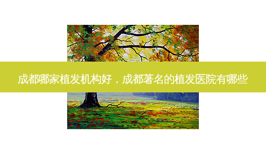 成都哪家植发机构好，成都著名的植发医院有哪些-第1张图片-琢颜网 - 美丽容颜从这里开始