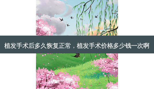 植发手术后多久恢复正常，植发手术价格多少钱一次啊-第1张图片-琢颜网 - 美丽容颜从这里开始