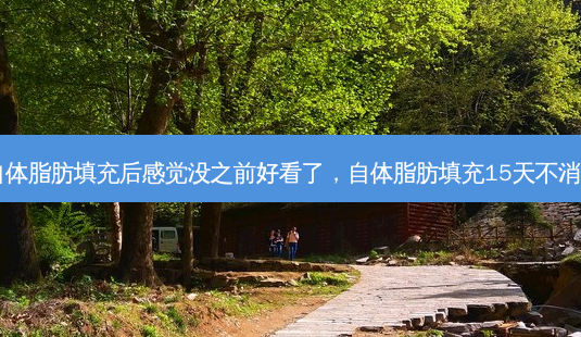 自体脂肪填充后感觉没之前好看了，自体脂肪填充15天不消肿-第1张图片-琢颜网 - 美丽容颜从这里开始