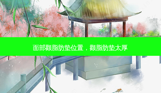 面部颧脂肪垫位置,颧脂肪垫太厚-第1张图片-琢颜网 - 美丽容颜从这里开始 面部颧脂肪垫位置,颧脂肪垫太厚-第1张图片-琢颜网 - 美丽容颜从这里开始