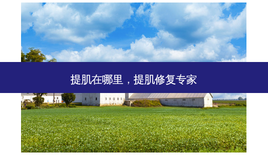 提肌在哪里，提肌修复专家-第1张图片-琢颜网 - 美丽容颜从这里开始