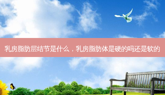 乳房脂肪层结节是什么,乳房脂肪体是硬的吗还是软的-第1张图片-琢颜网 - 美丽容颜从这里开始 乳房脂肪层结节是什么,乳房脂肪体是硬的吗还是软的-第1张图片-琢颜网 - 美丽容颜从这里开始