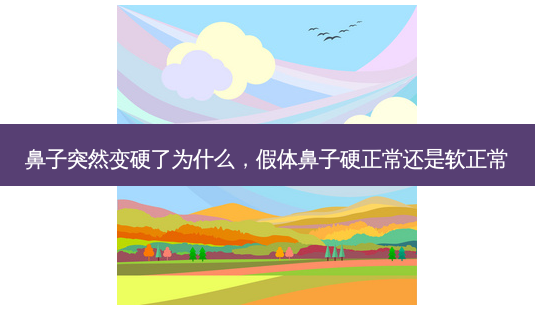 鼻子突然变硬了为什么,假体鼻子硬正常还是软正常-第1张图片-琢颜网 - 美丽容颜从这里开始 鼻子突然变硬了为什么,假体鼻子硬正常还是软正常-第1张图片-琢颜网 - 美丽容颜从这里开始