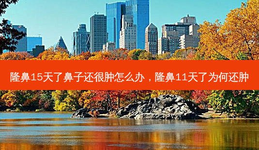 隆鼻15天了鼻子还很肿怎么办，隆鼻11天了为何还肿-第1张图片-琢颜网 - 美丽容颜从这里开始