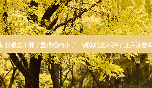 割双眼皮不肿了显得眼睛小了,割双眼皮不肿了还用冰敷吗-第1张图片-琢颜网 - 美丽容颜从这里开始 割双眼皮不肿了显得眼睛小了,割双眼皮不肿了还用冰敷吗-第1张图片-琢颜网 - 美丽容颜从这里开始