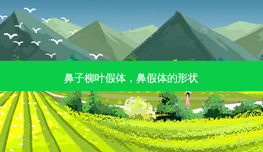 鼻子柳叶假体,鼻假体的形状-第1张图片-琢颜网 - 美丽容颜从这里开始 鼻子柳叶假体,鼻假体的形状-第1张图片-琢颜网 - 美丽容颜从这里开始